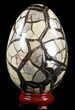 Septarian Dragon Egg Geode With Removable Section #51315-2
